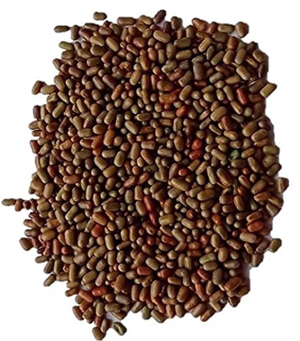 Fodder seed berseem, oats and sorghum